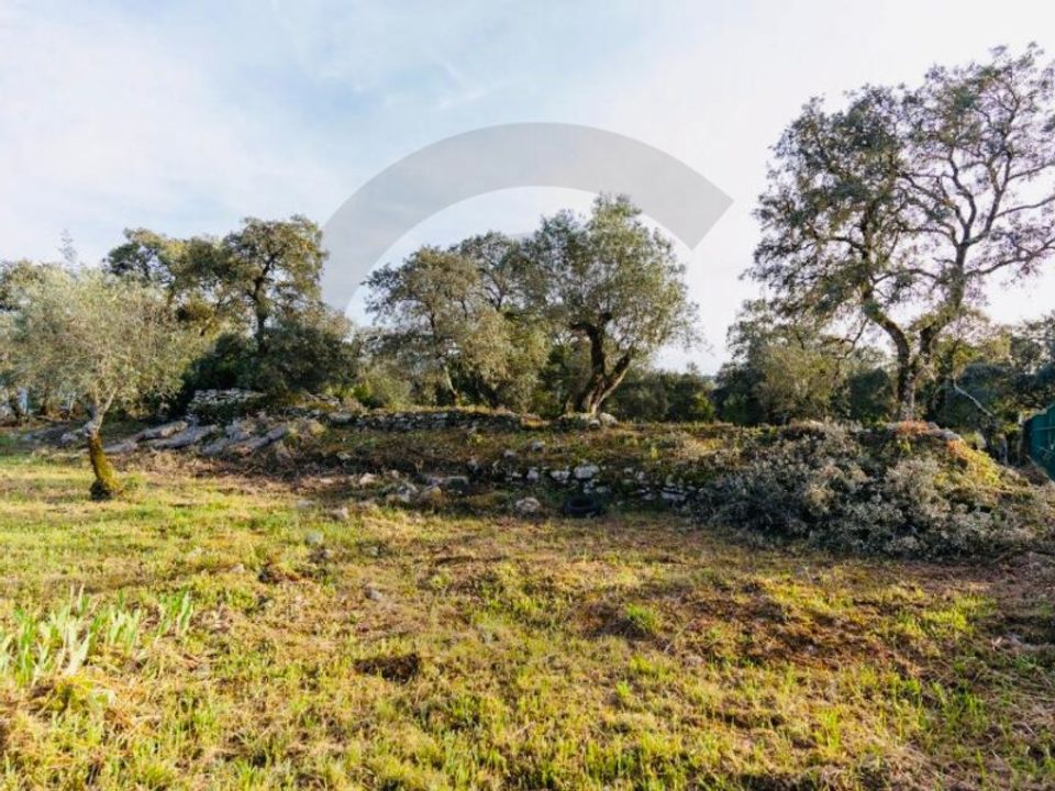 Helårsgrund i Fatima, Santarem - foto 4
