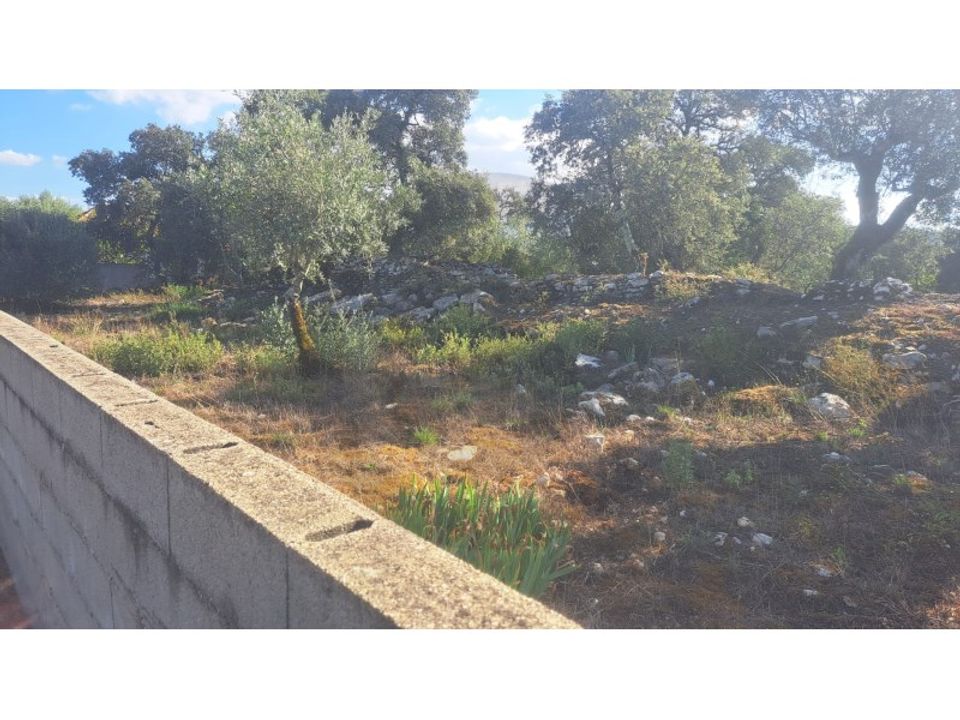 Helårsgrund i Fatima, Santarem - foto 5