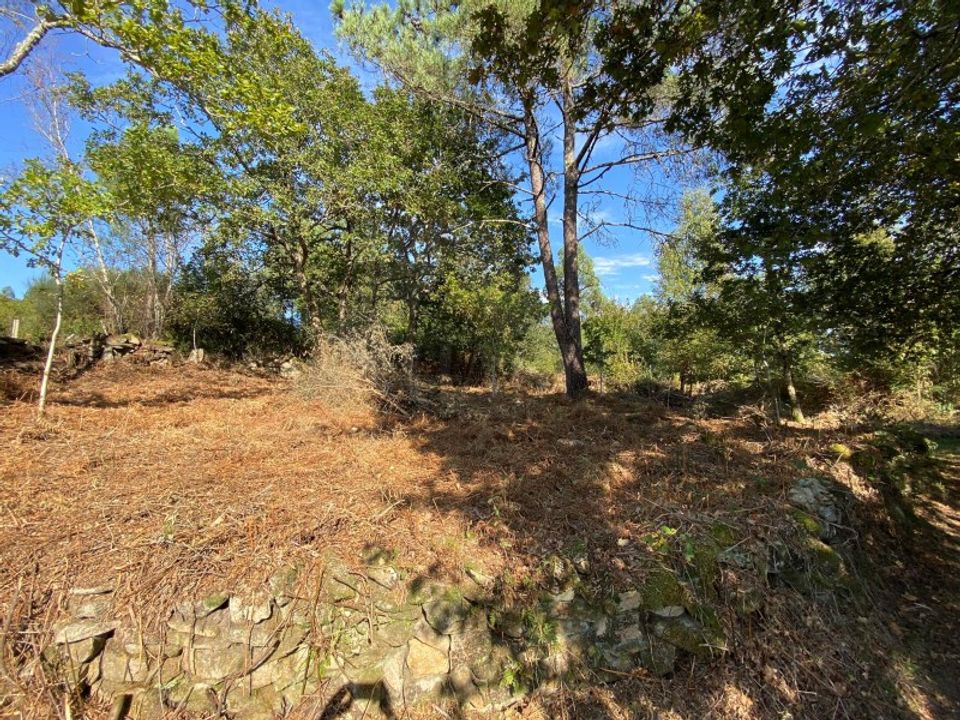 Helårsgrund i Paredes de Coura, Viana do Castelo - foto 1