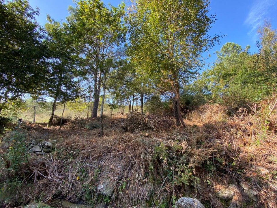 Helårsgrund i Paredes de Coura, Viana do Castelo - foto 3