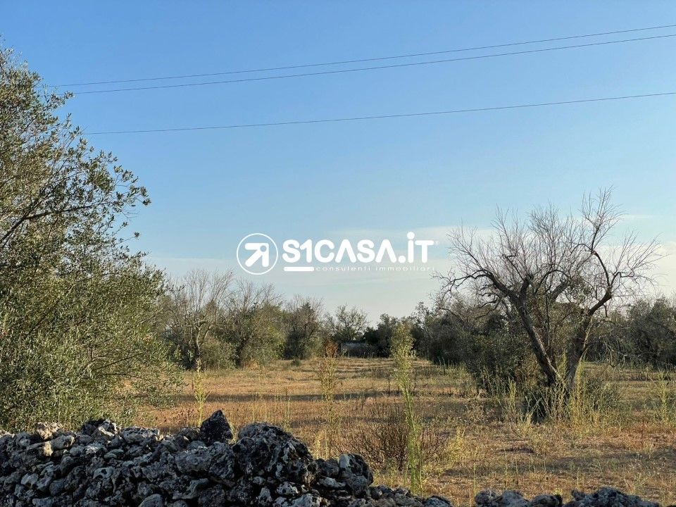 Terreno en Galatone, Lecce - foto 2