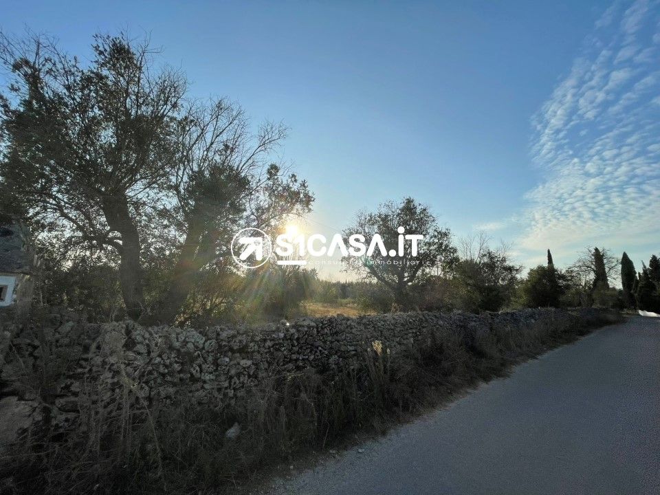 Terreno en Galatone, Lecce - foto 4