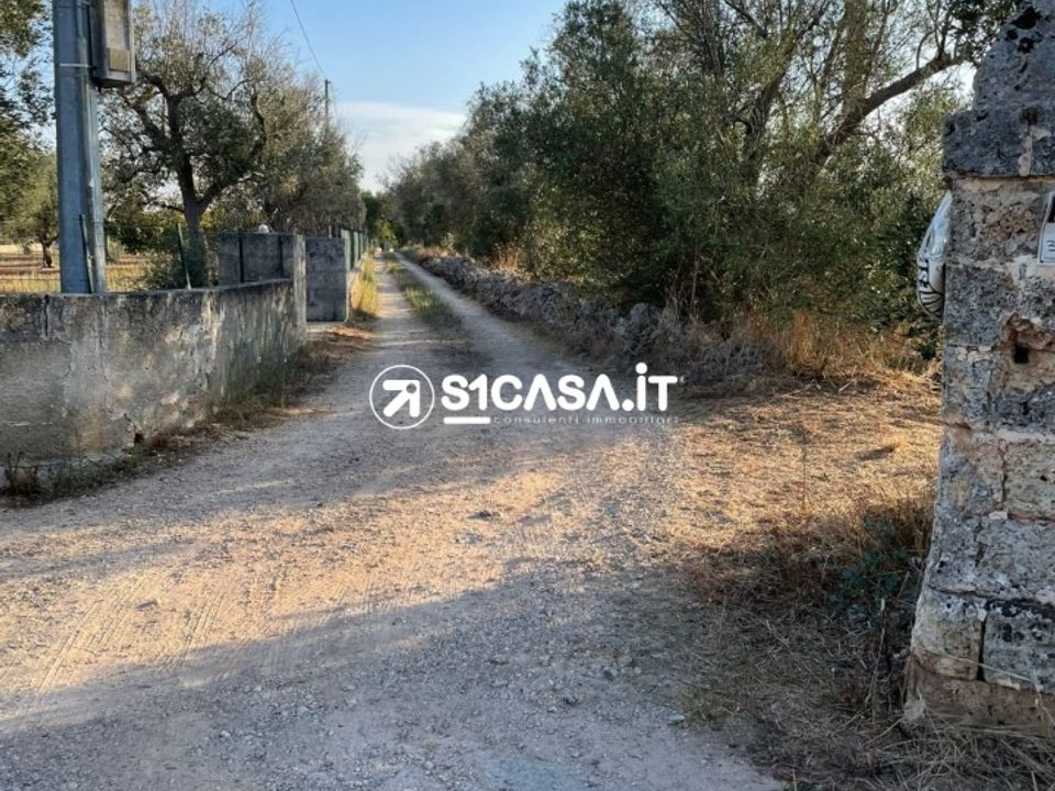 Terreno en Galatone, Lecce - foto 5
