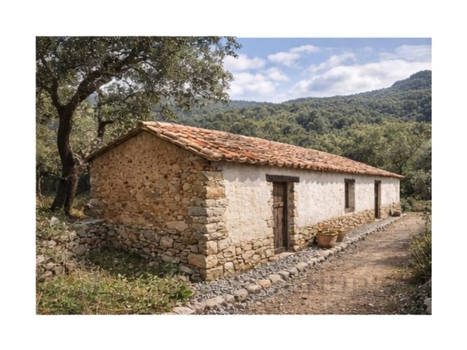 Farm i Monchique, Faro - foto 3