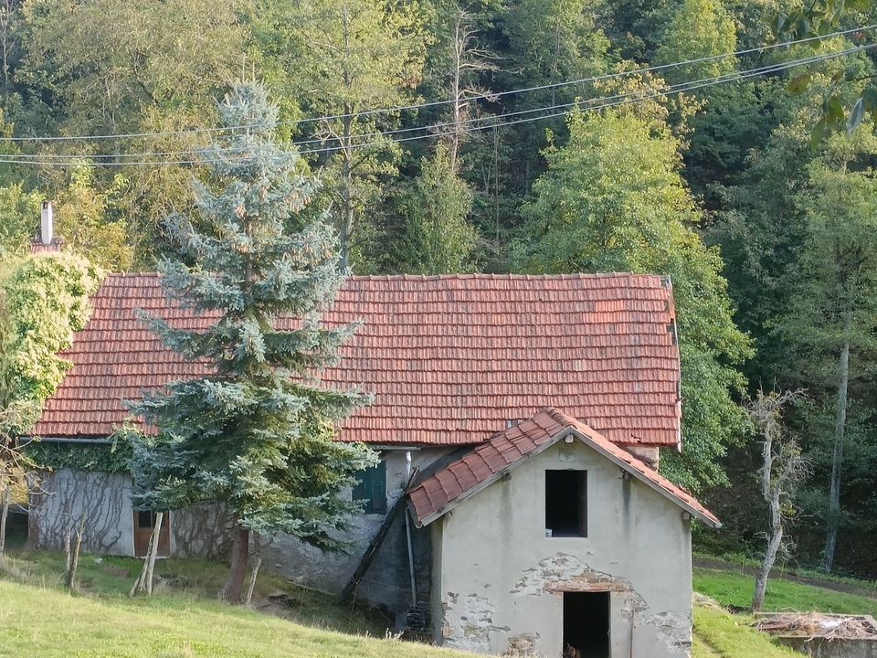 Willa: Sassello, Savona – zdjęcie 1