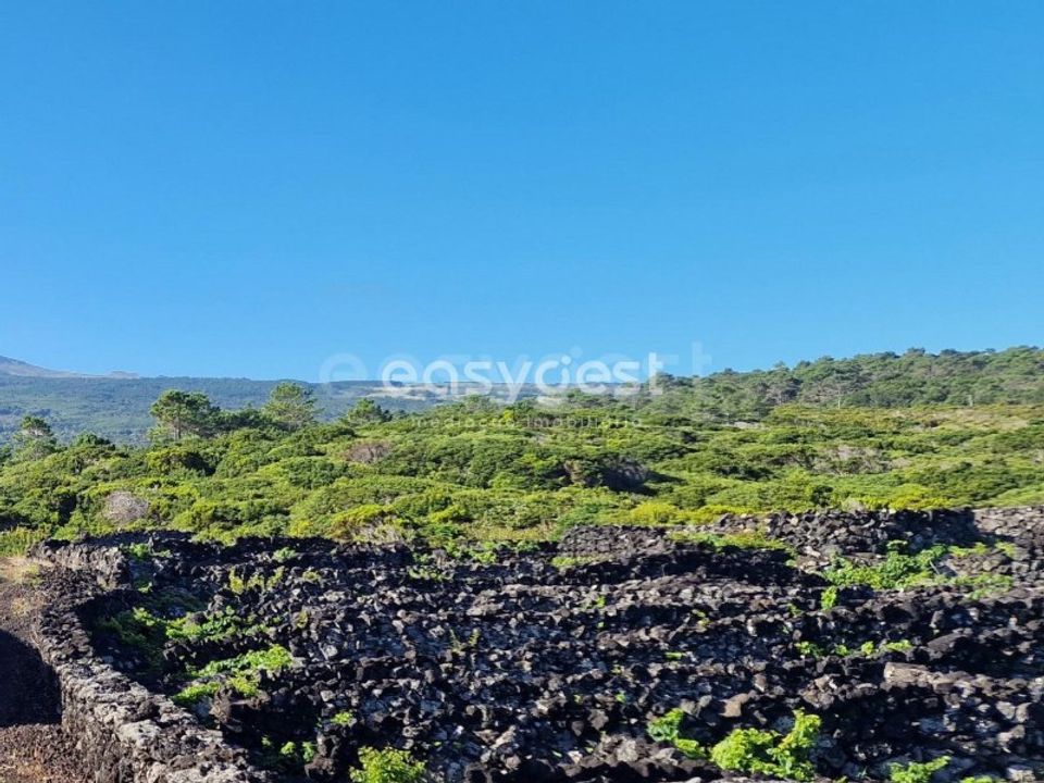 Helårsgrund i Santa luzia, Pico - foto 1
