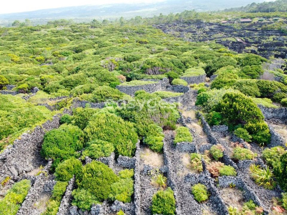 Helårsgrund i Santa luzia, Pico - foto 2