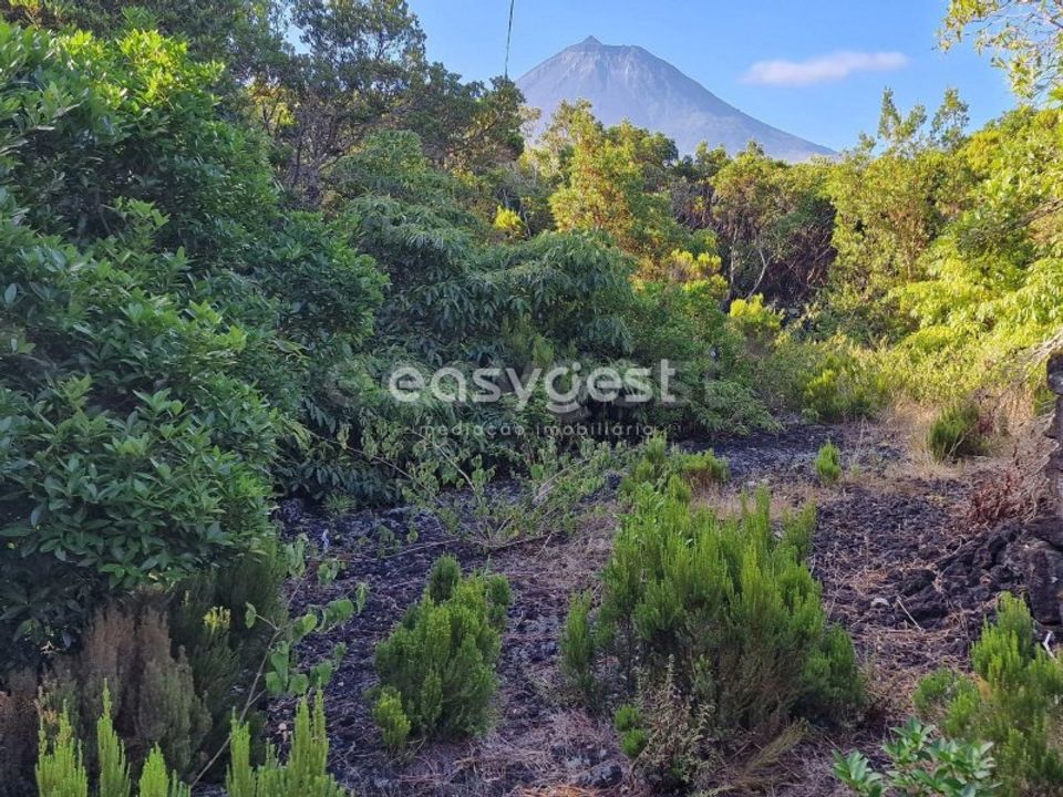 Helårsgrund i Santa luzia, Pico - foto 4