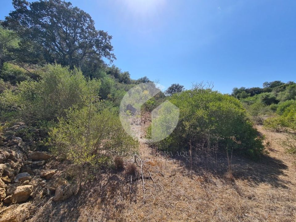 Terrain - Moncarapacho, Faro - photo 1