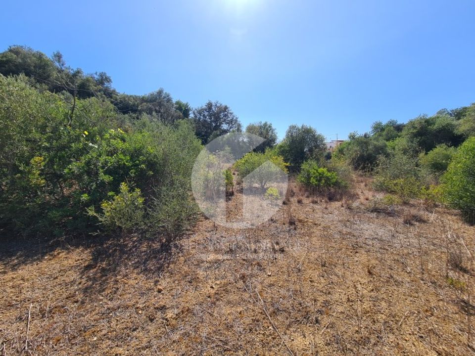 Terrain - Moncarapacho, Faro - photo 2