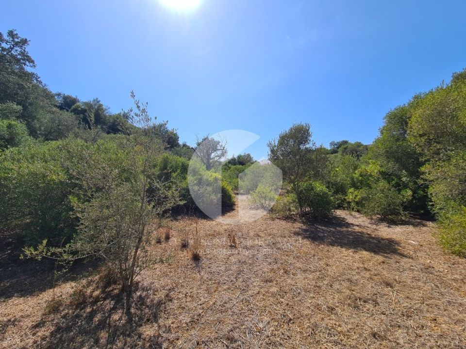 Terrain - Moncarapacho, Faro - photo 3
