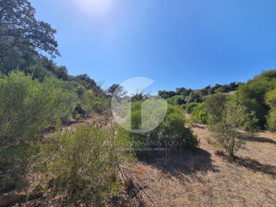 Terrain - Moncarapacho, Faro - photo 5