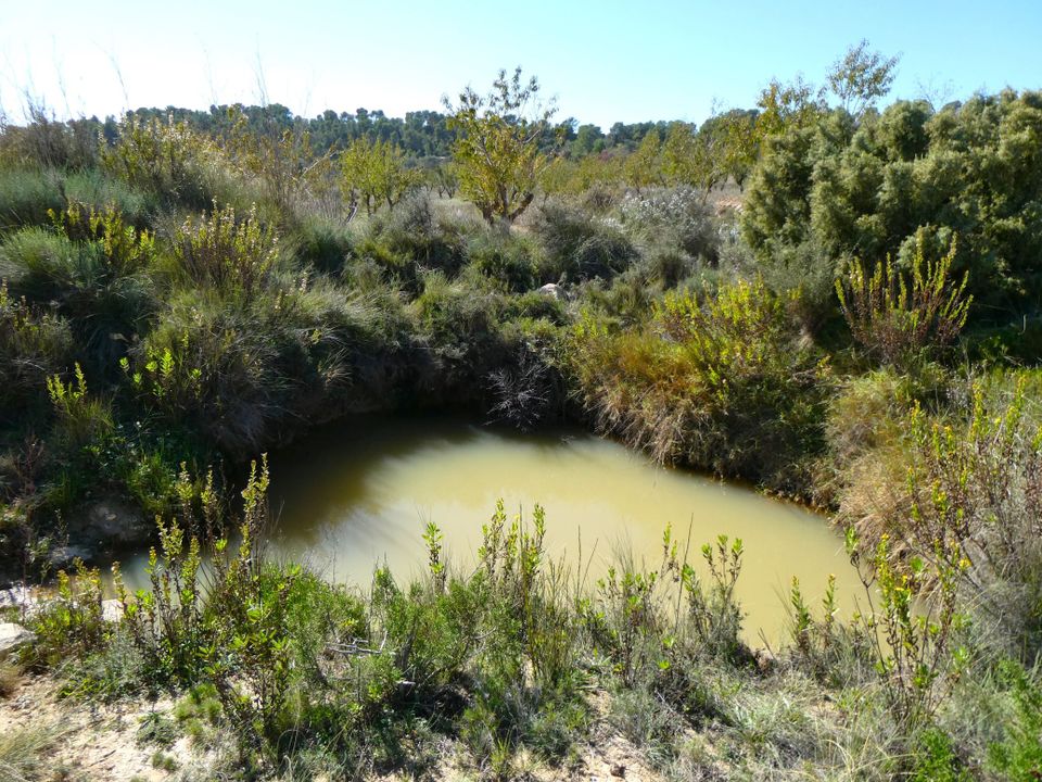 Finca i Maella, Zaragoza - foto 4