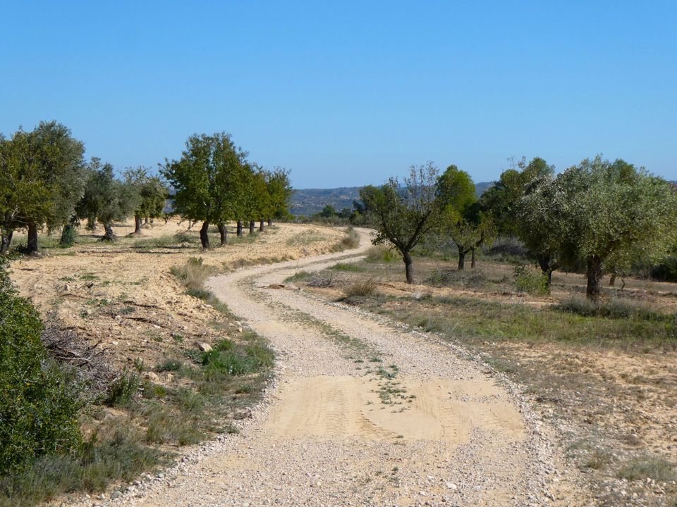 Finca i Maella, Zaragoza - foto 2