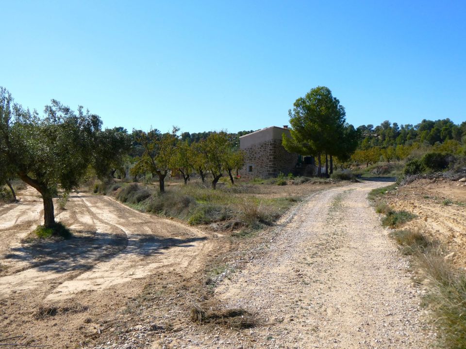 Finca i Maella, Zaragoza - foto 3