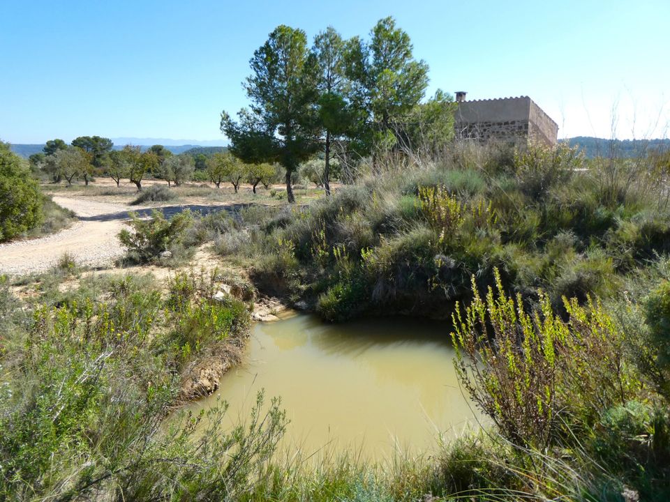 Finca i Maella, Zaragoza - foto 5