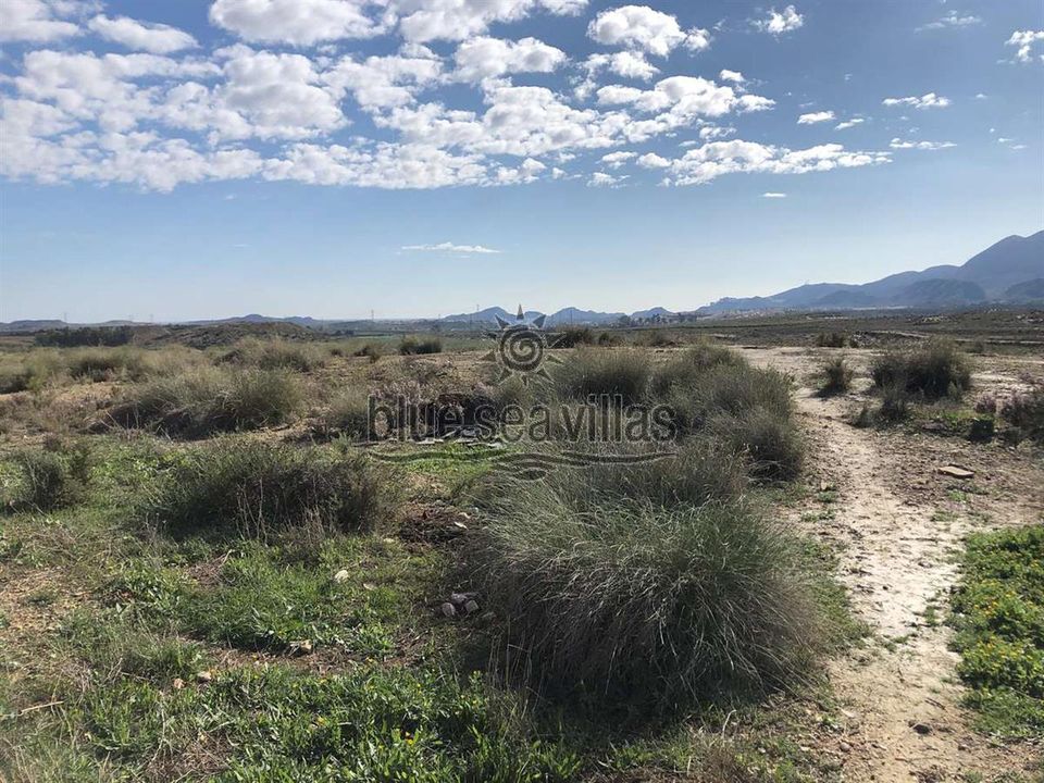 Tomt i Los Gallardos, Almeria - bilde 3