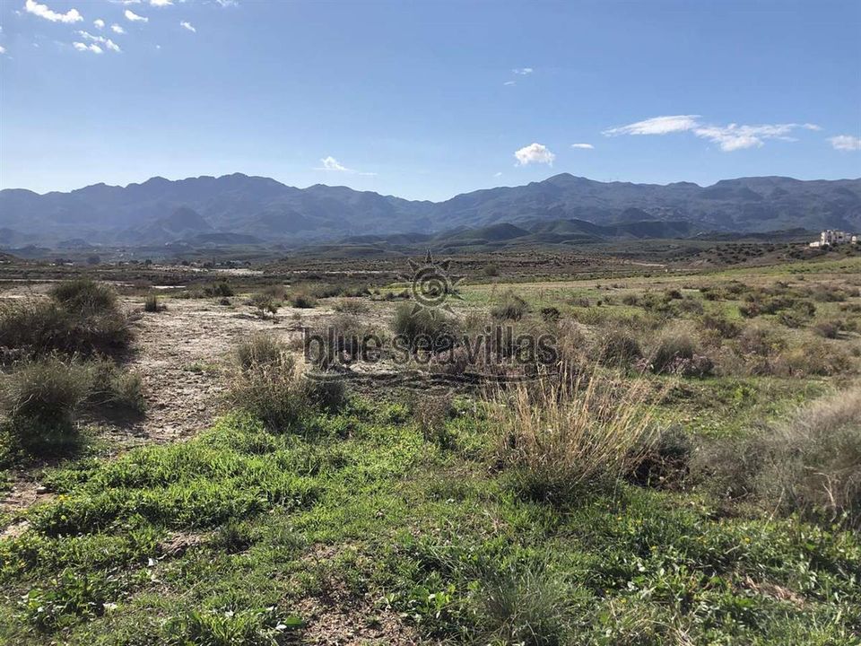 Tomt i Los Gallardos, Almeria - bilde 4