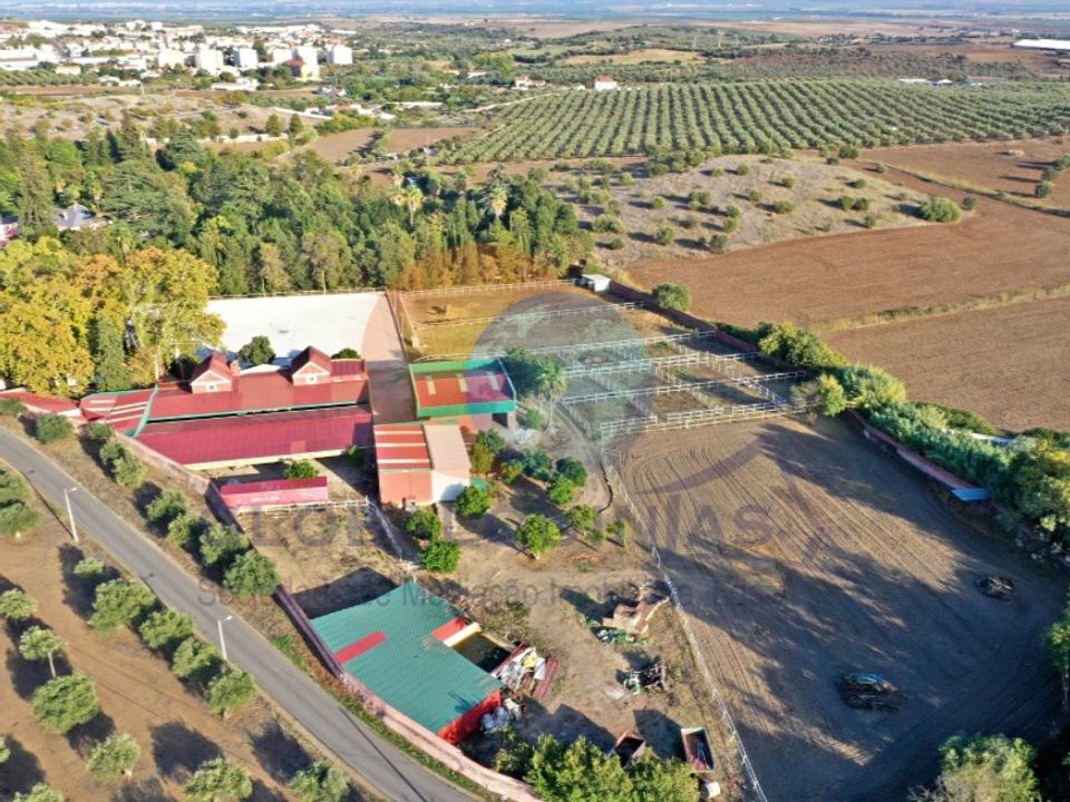 Granja a Elvas, Portalegre - foto 4