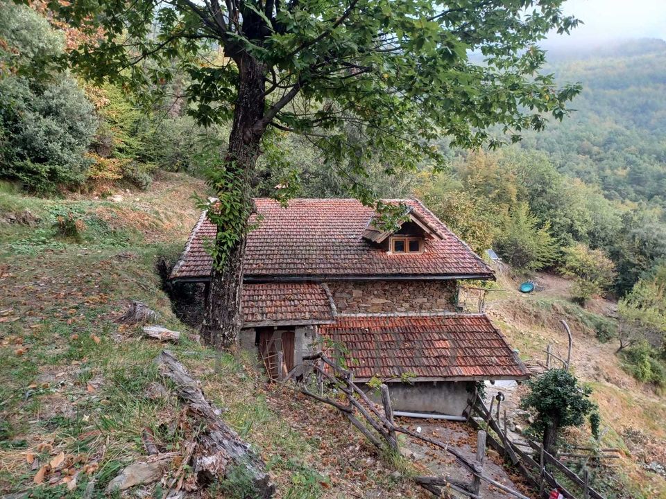 Villa i Pigna, Imperia - foto 4