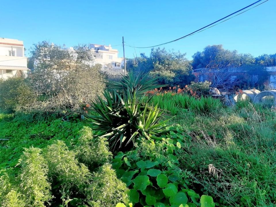 Helårsgrund i Carvoeiro, Faro - foto 3