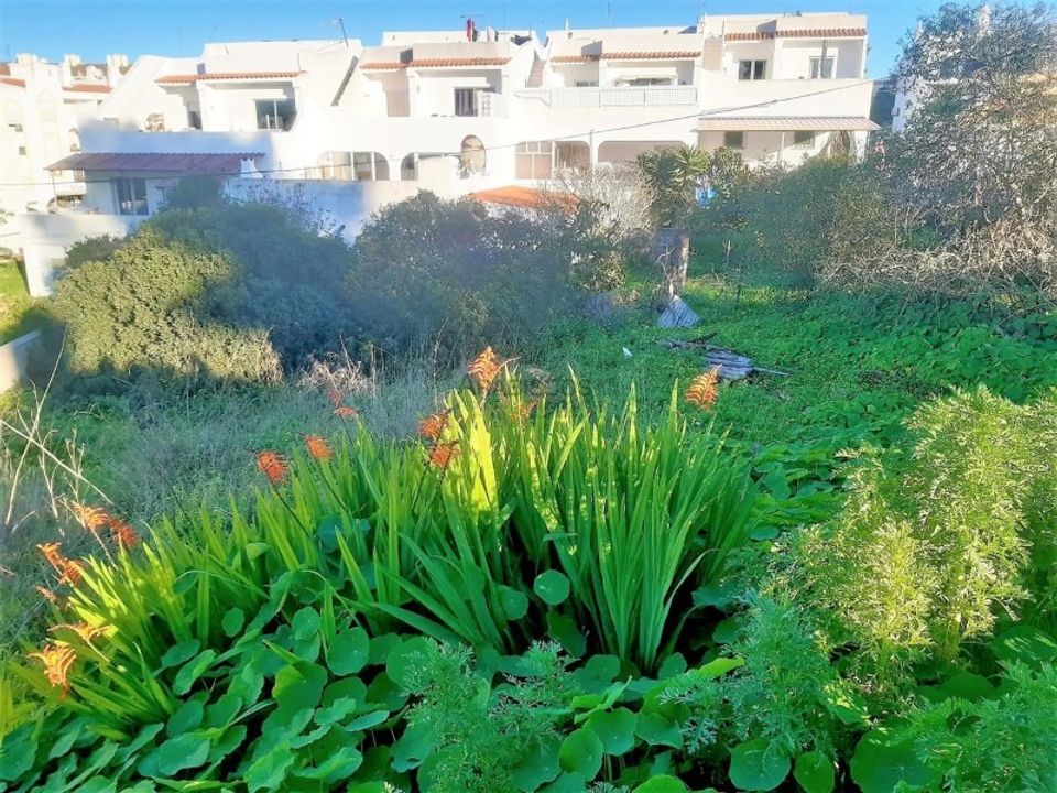 Helårsgrund i Carvoeiro, Faro - foto 4