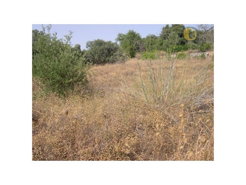 Helårsgrund i Santa Barbara de Nexe, Faro - foto 2
