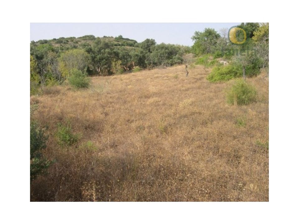 Helårsgrund i Santa Barbara de Nexe, Faro - foto 3