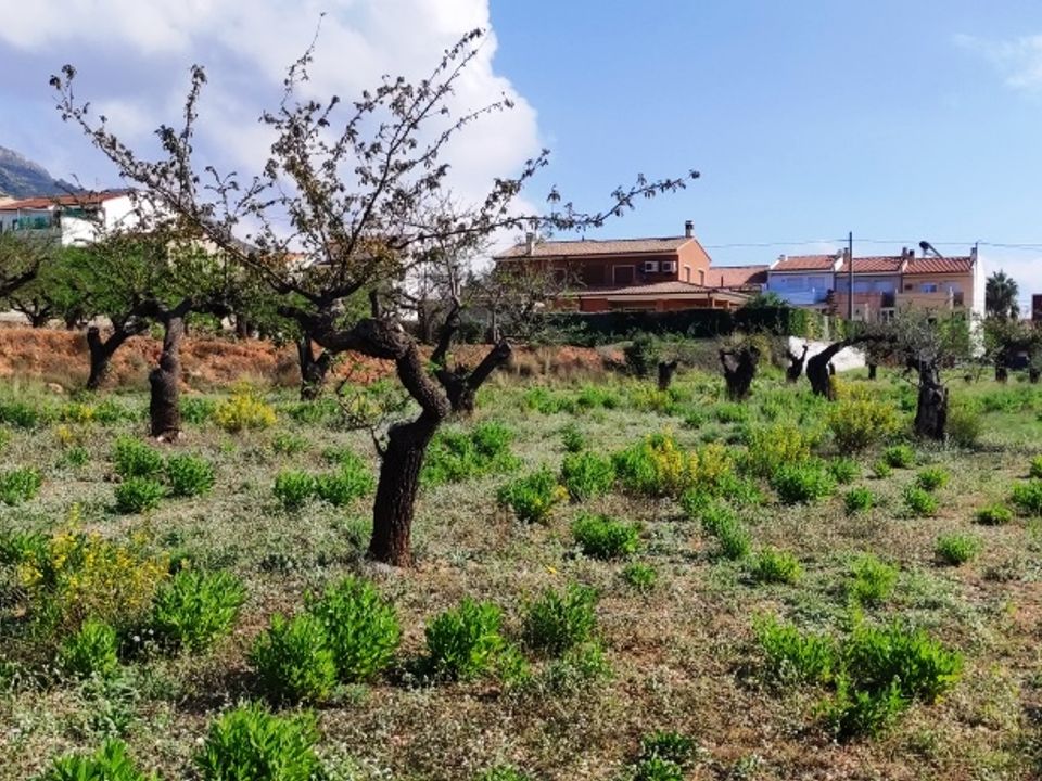 Helårsgrund i Gaianes, Alicante - foto 4