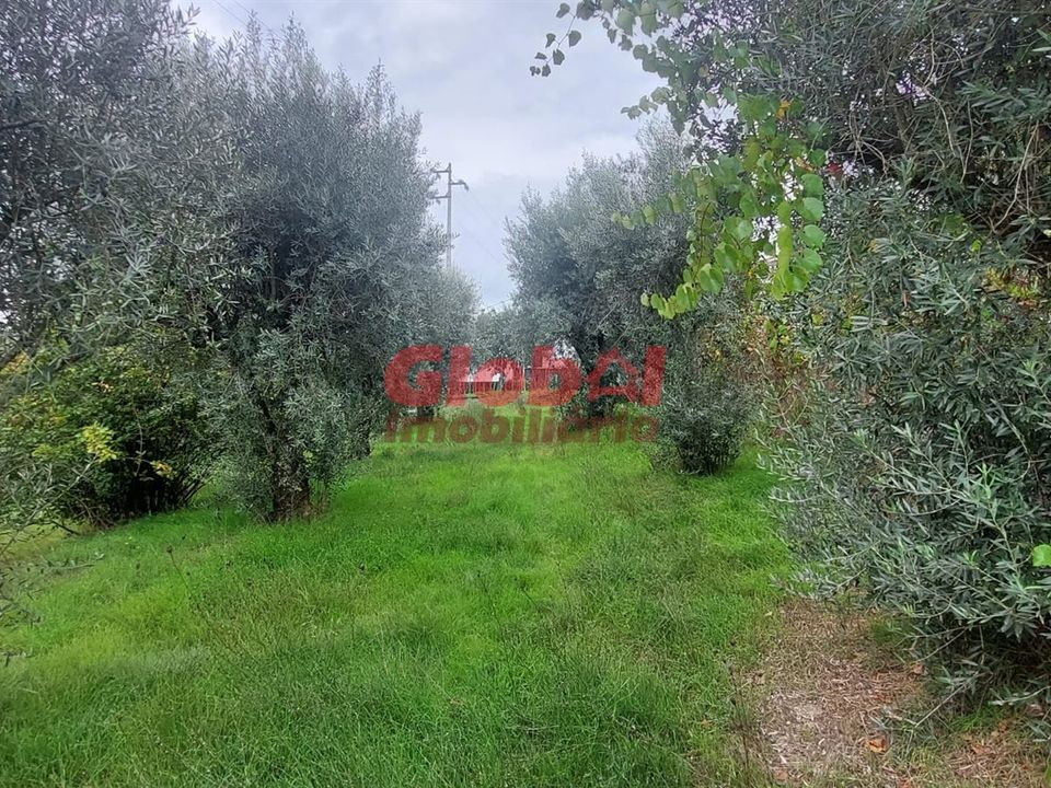 Helårsgrund i Viseu, Viseu - foto 1