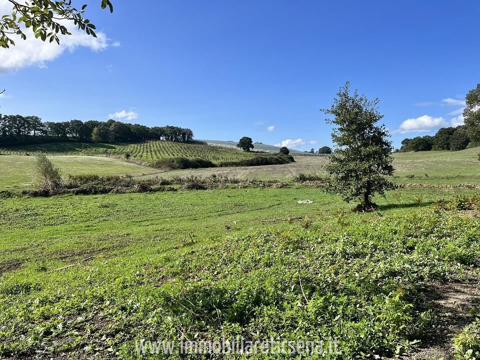 Farm hus i Orvieto, Terni - foto 4