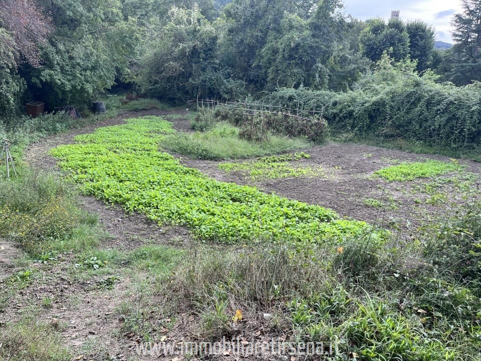 Farm hus i Orvieto, Terni - foto 4