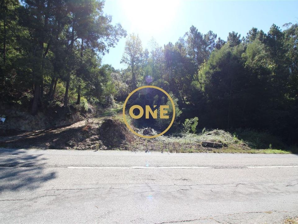 Helårsgrund i Fafe, Braga - foto 4