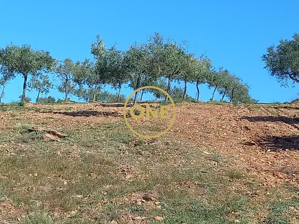 Terreno en Vimioso, Braganca - foto 2
