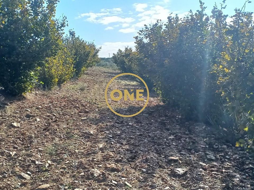 Terreno en Vimioso, Braganca - foto 4