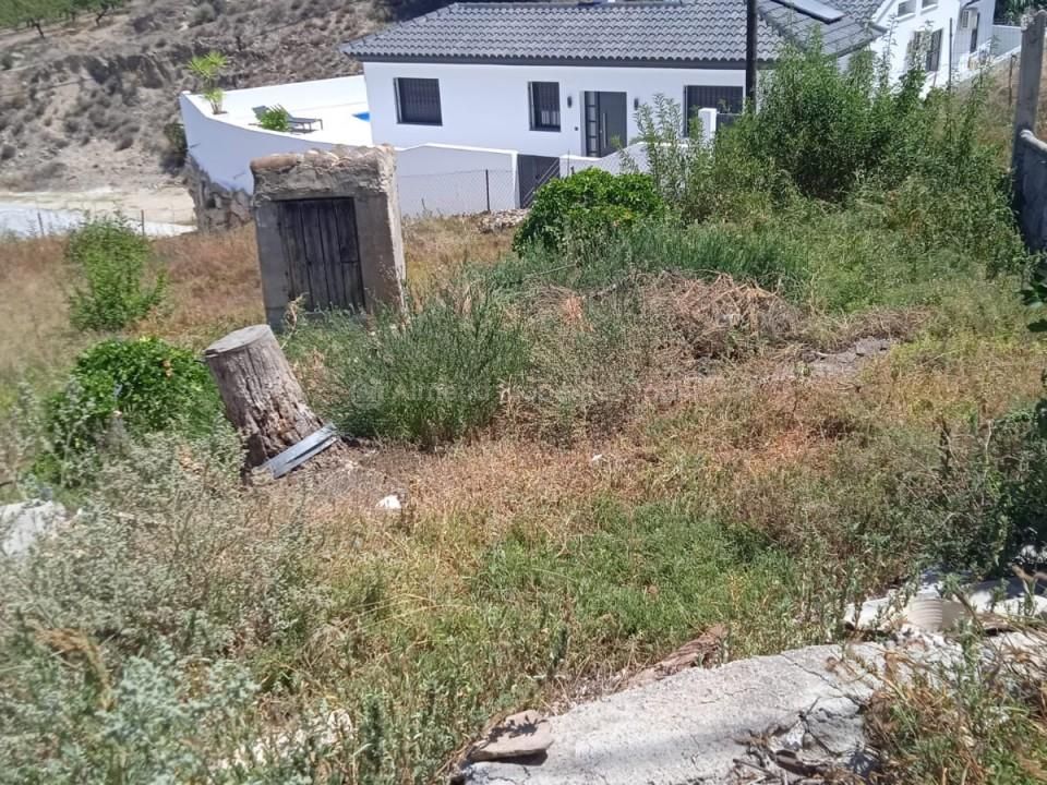 Farm hus i Arboleas, Almeria - foto 5