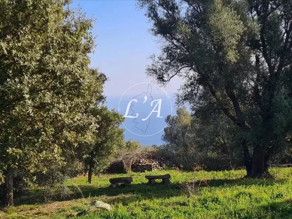 Villa i Solenzara, Corse-du-Sud - foto 4