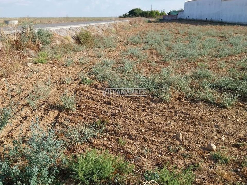 Helårsgrund i Aljustrel, Beja - foto 3