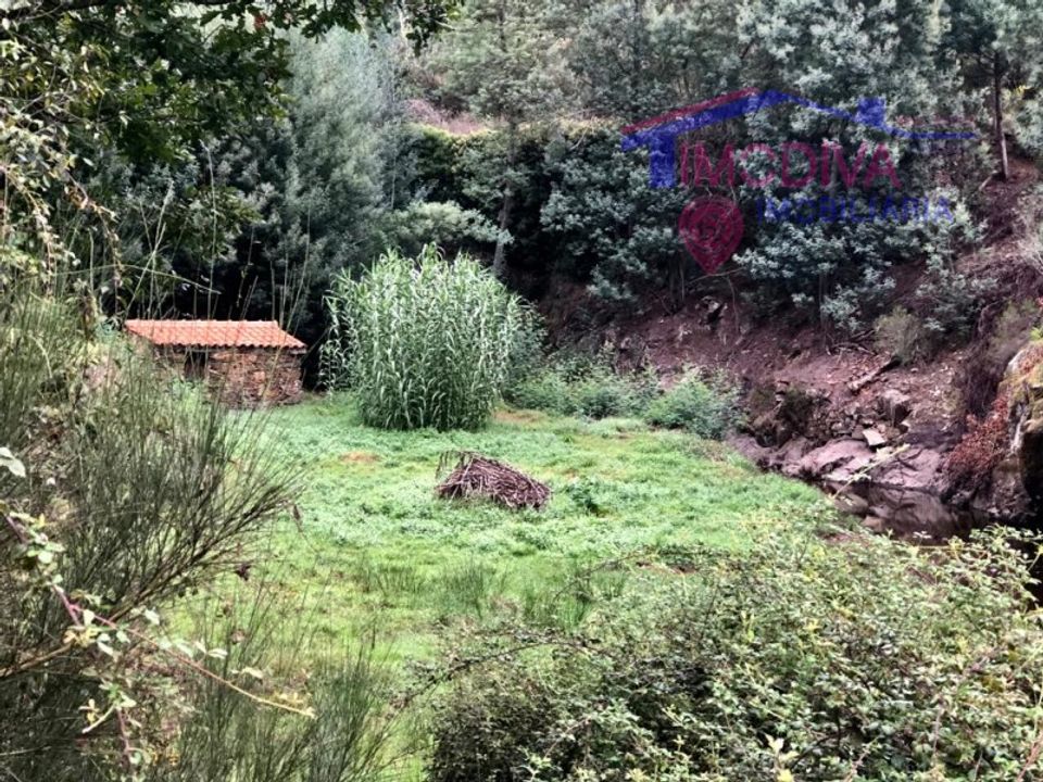 Helårsgrund i Pedrogao Grande, Leiria - foto 5