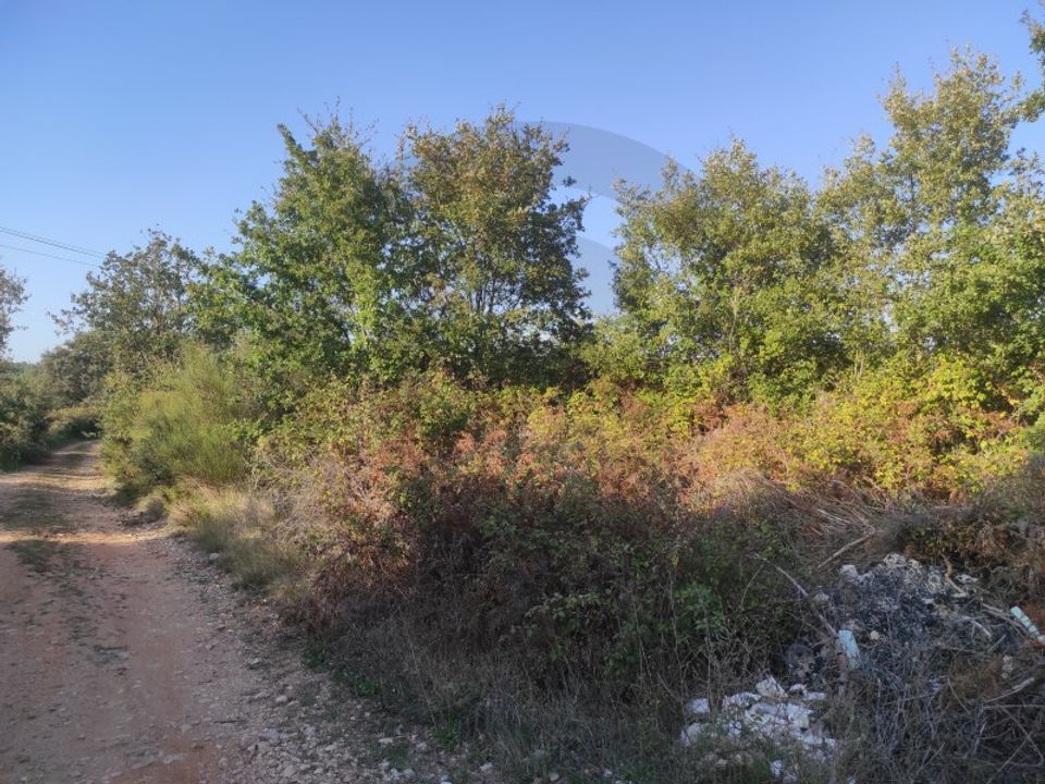 Helårsgrund i Fatima, Santarem - foto 1