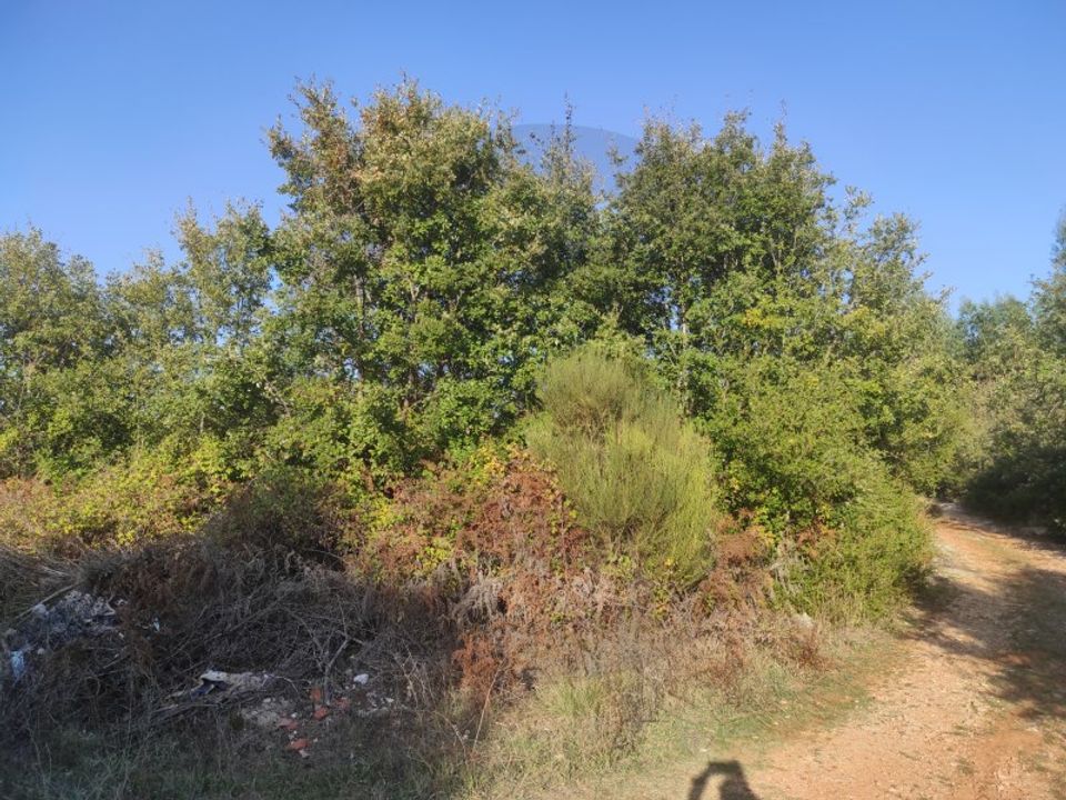 Helårsgrund i Fatima, Santarem - foto 3