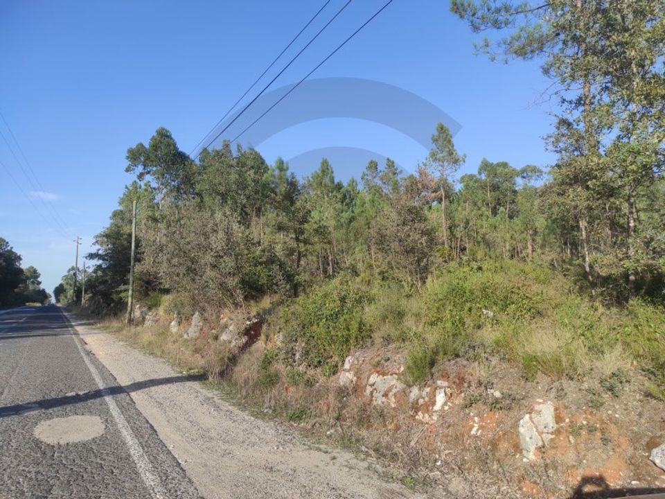 Terra a Fatima, Santarem - foto 1