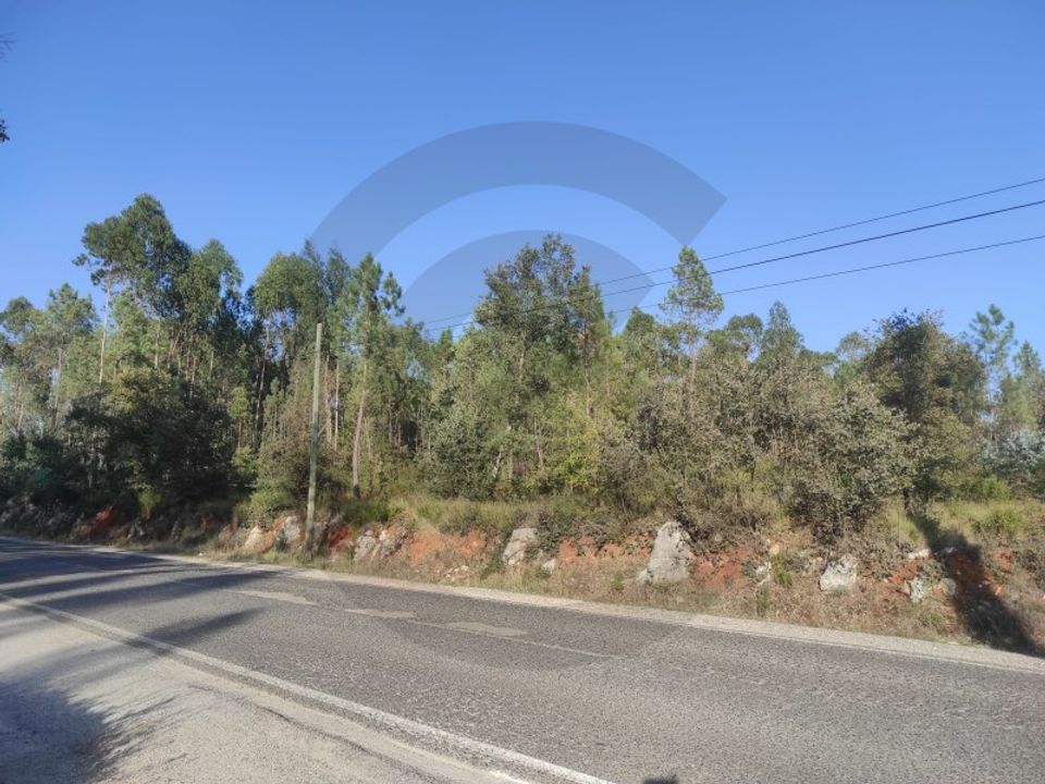 Terra a Fatima, Santarem - foto 2