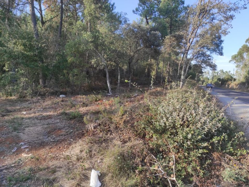 Terra a Fatima, Santarem - foto 3
