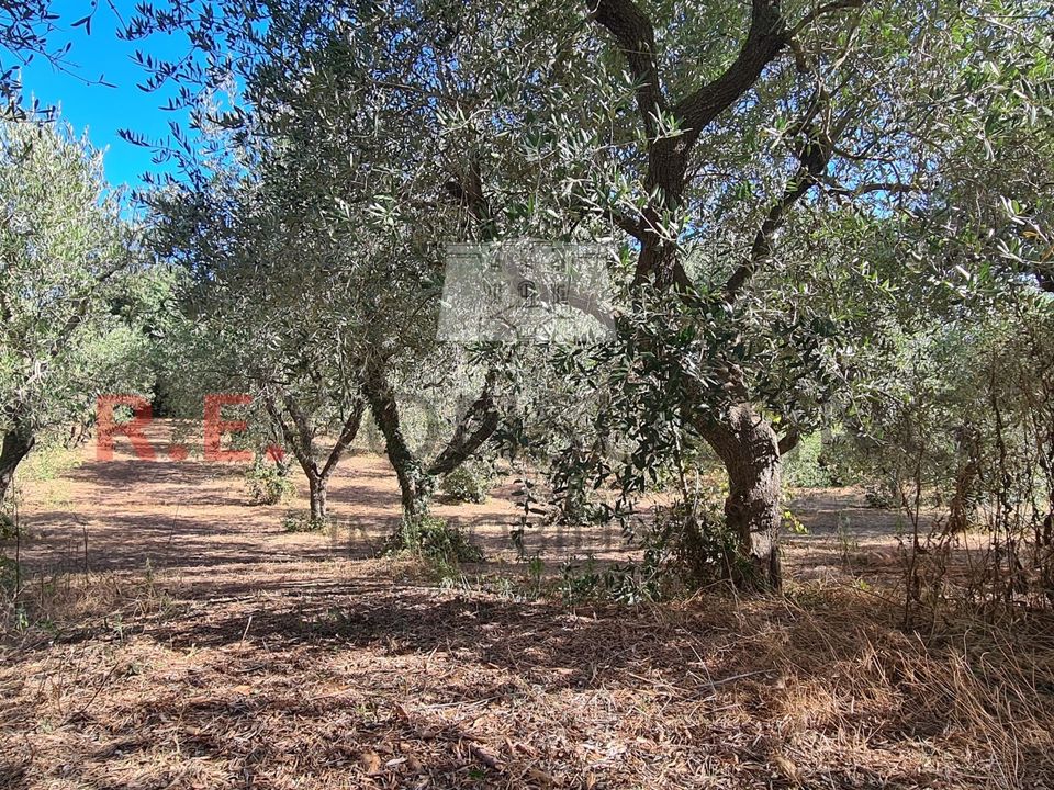 Villa a Martina Franca, Taranto - foto 3