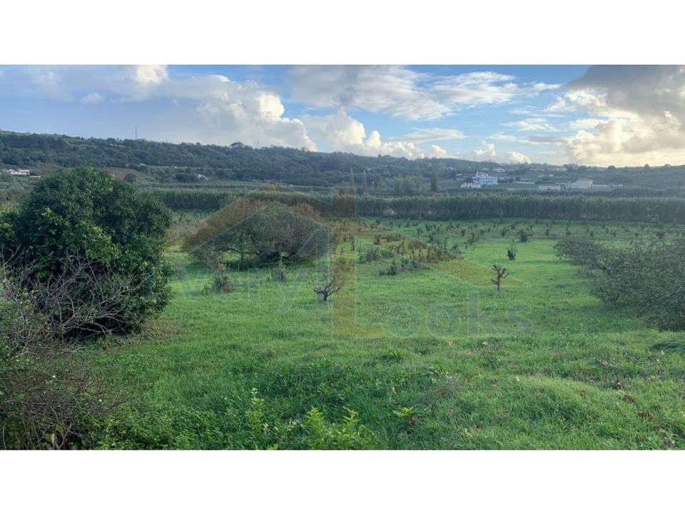 Helårsgrund i Obidos, Leiria - foto 4
