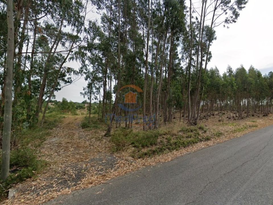 Helårsgrund i Cartaxo, Santarem - foto 1