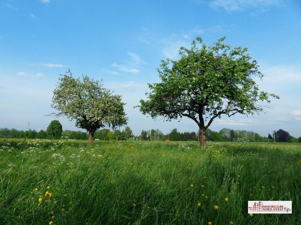 Terreno en Corbetta, Milan - foto 1