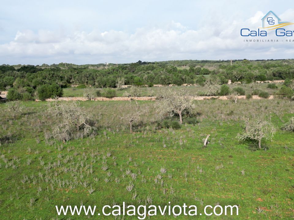 Helårsgrund i Ses Salines, Mallorca - foto 5