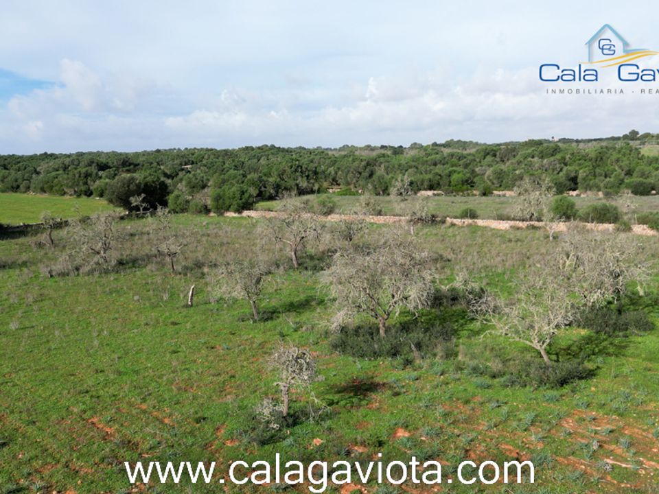 Helårsgrund i Ses Salines, Mallorca - foto 2
